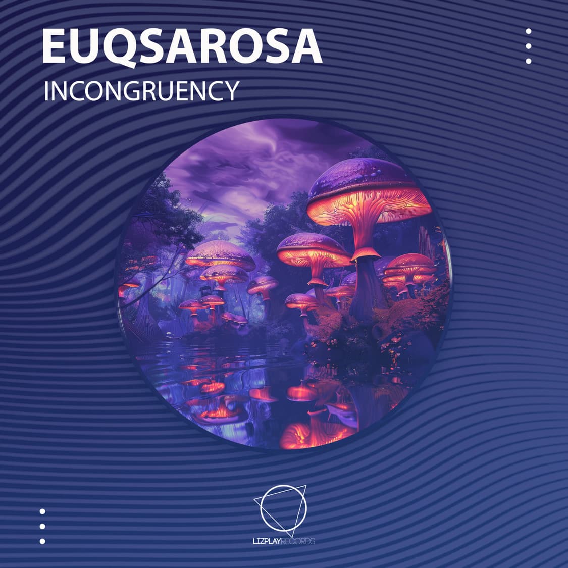 Cover art of Incongruency